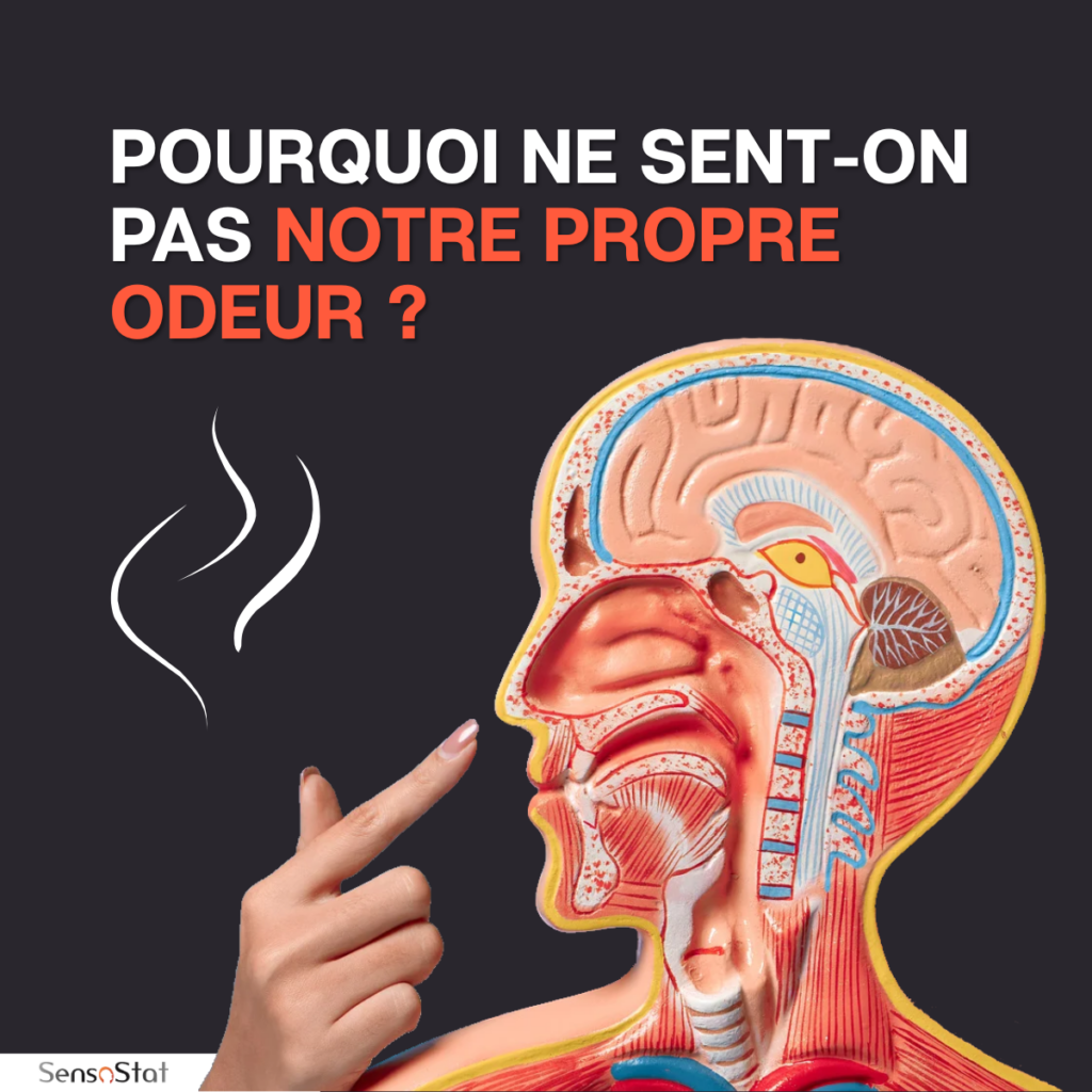 Notre propre odeur visuel
